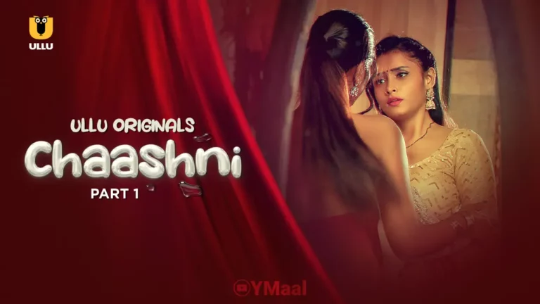 Chaashni