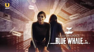 Blue Whale
